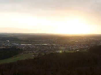 Tour Zu Fuß Aarburg - Aarburg - Engelberg - Photo