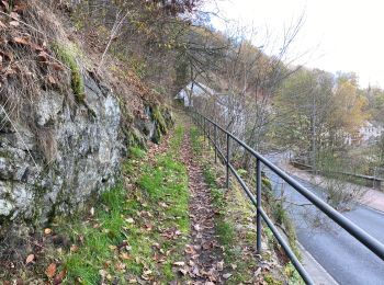 Randonnée Marche Clervaux - Clervaux Abbaye et Mecher 10 km boucle - Photo