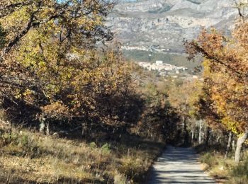 Tocht Stappen Cipières - cipières borie 2 - Photo