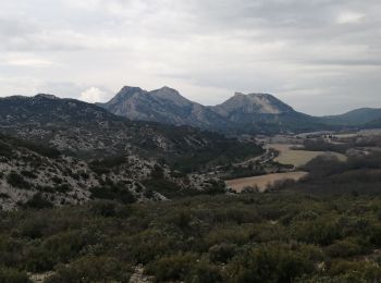 Excursión Senderismo Lamanon - le château de la reine Jeanne  - Photo