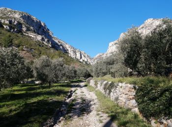 Tour Wandern Roquevaire - le Garlaban par le grand vallon - Photo