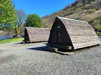 Percorso Sentiero - rowardennan - Beinglas farm - Photo