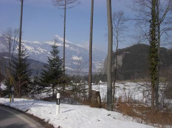 Percorso A piedi Maienfeld - Guscha (CH) - Lawena - Photo