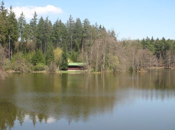 Randonnée A pied Louňovice - NS - Voděradské bučiny - Photo