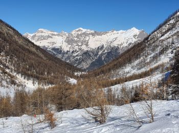 Tour Schneeschuhwandern Puy-Saint-Vincent - le vallon de Narreyroux - Photo