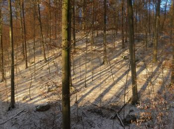 Randonnée A pied Inconnu - Stuttgarter Rundwanderweg - Photo