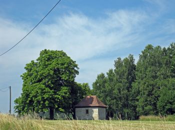 Tocht Te voet Ebrach - Rundweg 