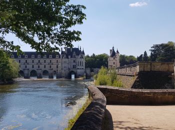 Randonnée Marche Chenonceaux - jardins de Chenonceaux  - Photo