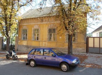 Randonnée A pied Szekszárd - Benedek-szurdok tanösvény - Photo