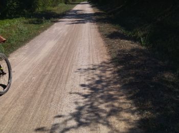 Randonnée Vélo de route Villeurbanne - 69 vélo lyon - Photo