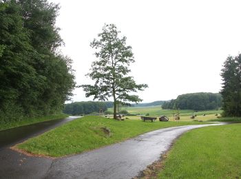 Percorso A piedi Bad Endbach - Wanderweg E12 / Bottenhorner Heide - Photo