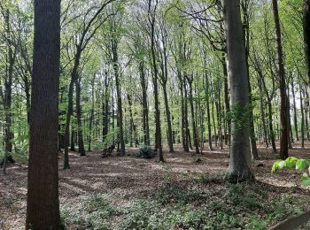 Excursión A pie Torhout - Spookwegelwandeling - Photo