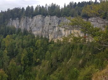 Percorso Mountainbike Saint-Hippolyte - j2 jura - Photo