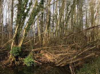 Tocht Stappen Bertem - Dijle - Photo