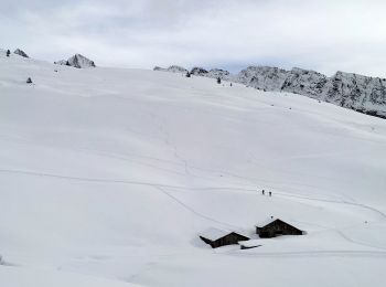 Trail Touring skiing Samoëns - 2025-01-30 Sortie Ski de Rando Col de la Golese - Photo