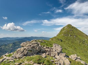 Tour Zu Fuß Fivizzano - (SI L20) Passo del Cerreto - Rifugio Sarzana al Monte Acuto - Photo