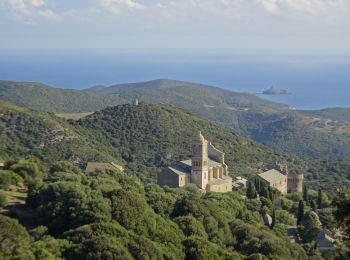 Randonnée A pied Rogliano - rogliano Olivo Château (ruine) - Photo