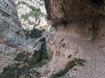 Trail Walking Sant Esteve de la Sarga - Congos de mont rebeil - Photo