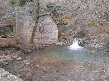 Trail Walking Rocamadour - Rocamadour , magés , moulins du saut - Photo