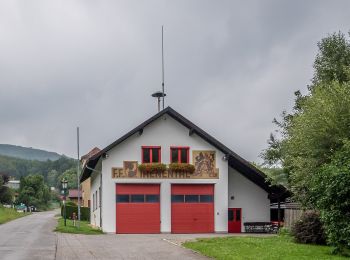 Excursión A pie Gemeinde Tullnerbach - Tullnerbach Pressbaum - Strohzogl - Photo