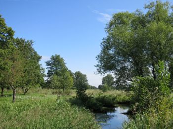 Randonnée A pied Bocholt - Smeetshof Oranje bol - Photo