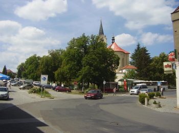 Tocht Te voet Voznice - [Ž] Mníšek pod Brdy-Voznice - Photo