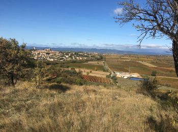 Tocht Lopen Puissalicon - Puissalicon - Saint-Pierre de Serjac - Cazilhac - Coulobres- Puech Ginestieu - Photo