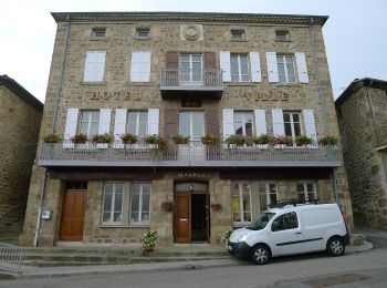 Tour Zu Fuß Saint-Félicien - Randonnée : Raillon - Photo