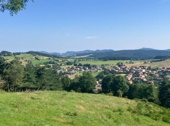 Trail Trail Laussonne - Plateau de Fraysse(17K 450D+) - Photo