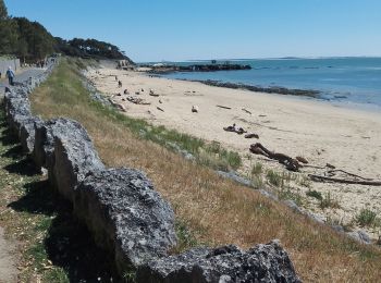 Trail Walking Saint-Palais-sur-Mer - randonnée saint Palais - Photo