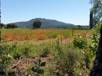 Trail Walking Jouques - Jouques  - Photo