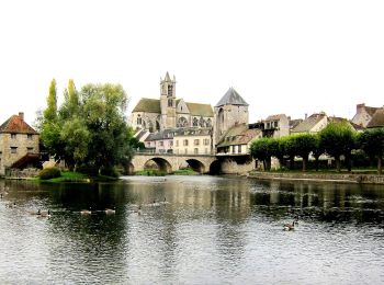 Tocht Te voet Saint-Mammès - Batellerie et foret - Photo