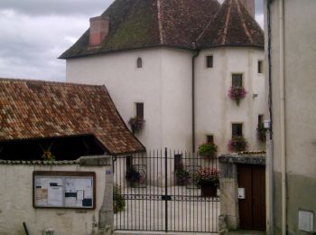 Tocht Te voet Villey-Saint-Étienne - Circuit Sous les charmes du Vieux Canton - Photo