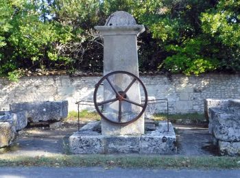 Tocht Stappen Talmont-sur-Gironde - 17 - Talmont - Le Fâ - barzan plage   8km500 - Photo