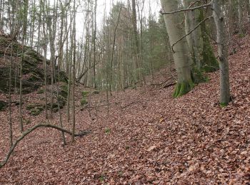 Tocht Te voet Pretzfeld - Rundweg Unterzaunsbach-Schweinthal - Photo