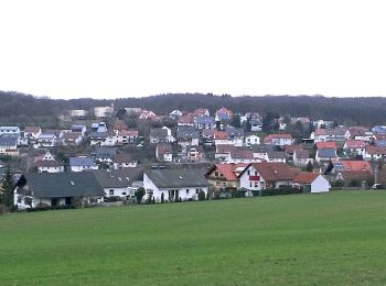 Randonnée A pied Üchtelhausen - Schweinfurt - Fichtenbusch - Photo