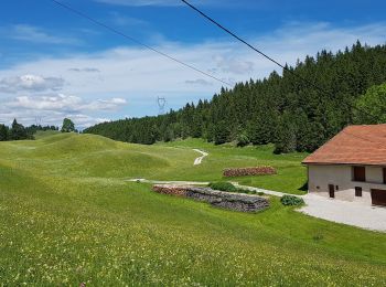 Tocht Stappen Les Moussières - jura 22 juin19  hors piste - Photo