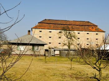 Percorso A piedi Štětí - NS Loupežníka Štětky - Photo