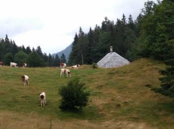 Excursión Senderismo Vallorbe - Vallorbe La Dent du Vaulion Fort du Pré Giroud 4 août 2020 CAF - Photo