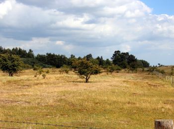 Tocht Te voet Grömitz - Klostersee-Route, Grömitz - Photo