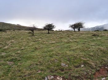 Randonnée Marche Baztan - Col de Belate - saioa - Photo