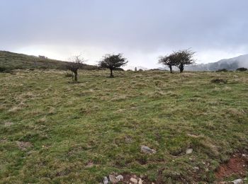 Tocht Stappen Baztan - Col de Belate - saioa - Photo