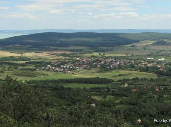 Tour Zu Fuß Szentbékkálla - Boros Ádám Tanösvény (KT) - Photo