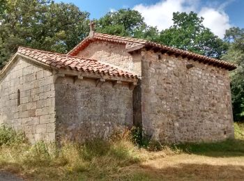 Tocht Te voet Valdeprado del Río - Ruta de Arcera a la Ermita de los Remedios - Photo