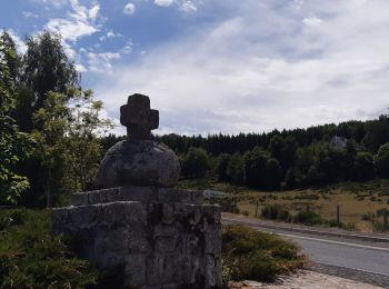 Excursión Senderismo Peyre en Aubrac - le rocher du Cher - Photo