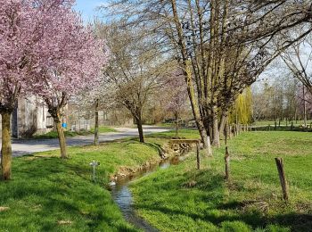 Randonnée Marche Sans-Vallois - Jésonville : circuit des monts Faucilles (ou des 4 éoliennes !) - Photo