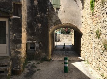 Tour Wandern Blauzac - Les capitelles de Blauzac - Photo