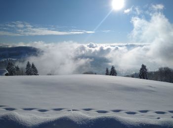 Randonnée Raquettes à neige Cornimont - raquettes 2021 - Photo