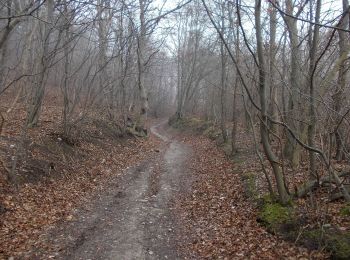 Tour Zu Fuß Naumburg (Saale) - Geiersberg&Galgenberg Wanderwegenetz - Photo