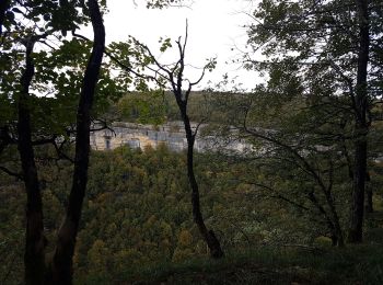 Randonnée Marche Bonlieu - Cascades du Hérisson - Photo